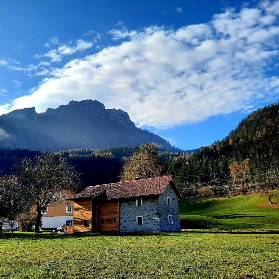 Ferienhaus Spitzenhof Mooslandl Exterior foto